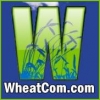 wheatcom